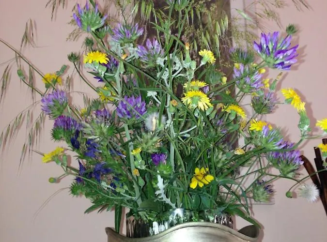 Umberto A Mare Forio di Ischia